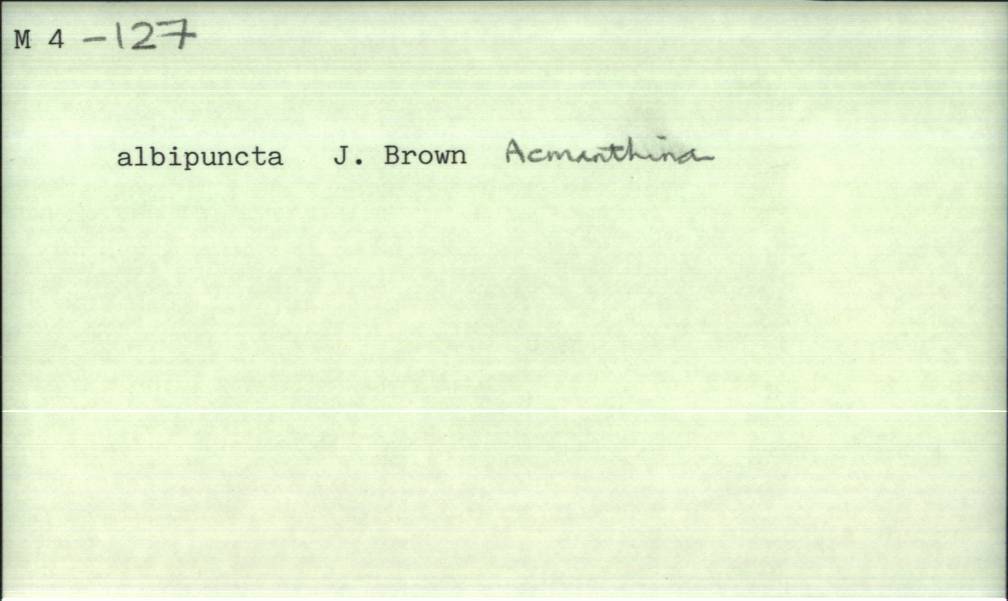 front of card